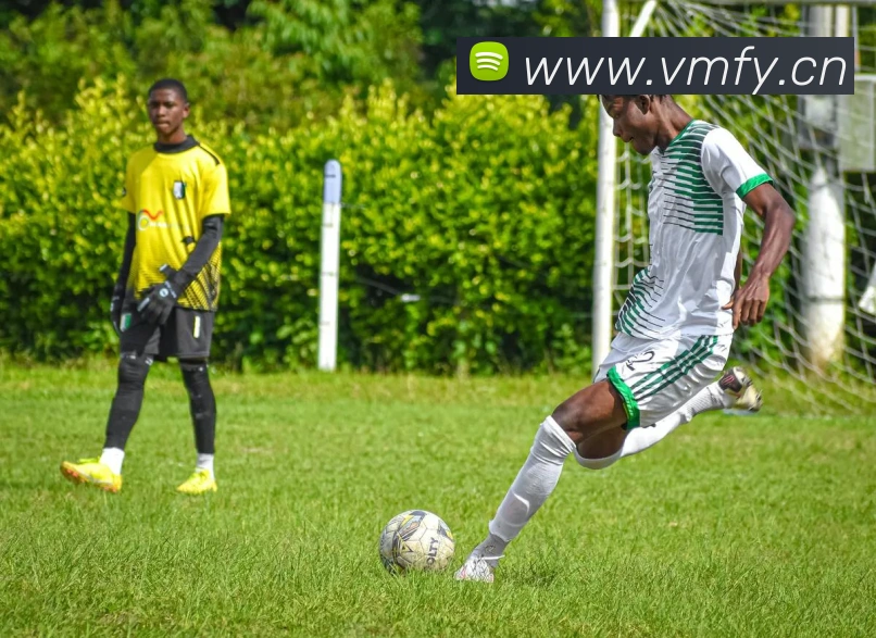 压球首页服务体系